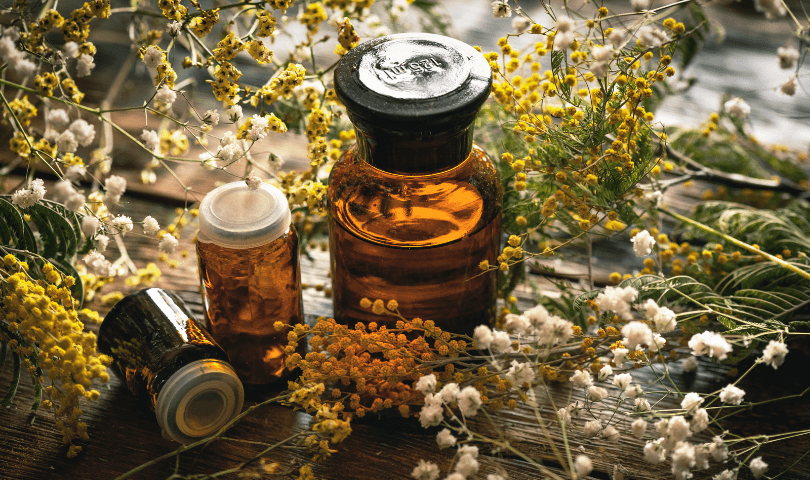Plantes, burn-out, burnout, solutions naturelles