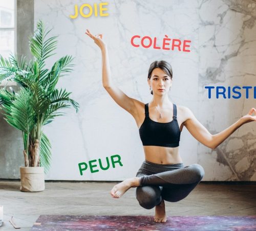 Neuro-Naturel-emotion-equillibre-4-3 Gestion des émotions négatives et désagréables - yoyo émotionnel